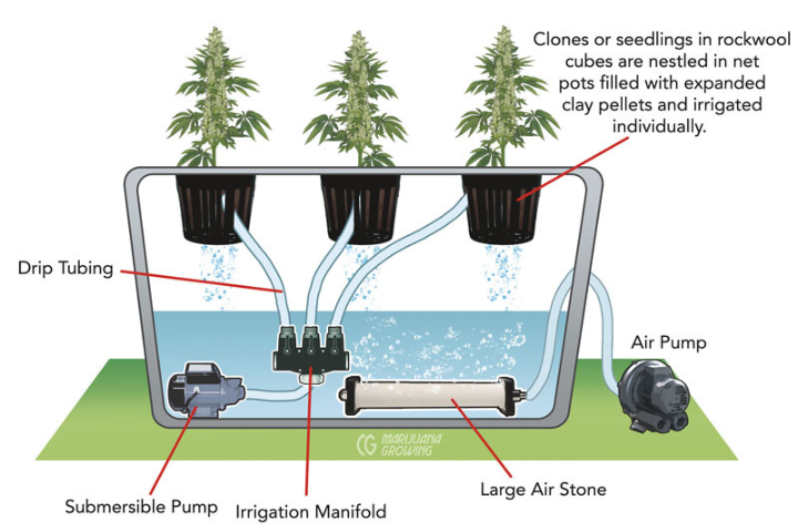 Bubbleponics and raft or pond culture, are a variation of DWC. In bubbleponics the nutrient solution is delivered via top-feed nozzles