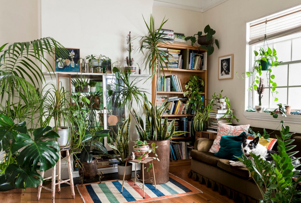 Maintaining Indoor Woodland Arrangements