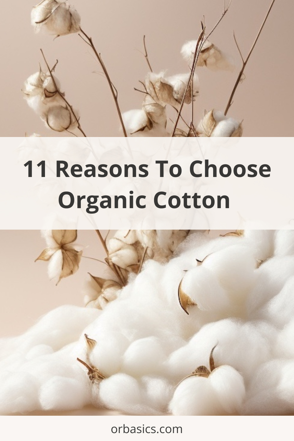 reasons-to-choose-organic-cotton
