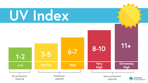 What is the UV Index and what does it mean?