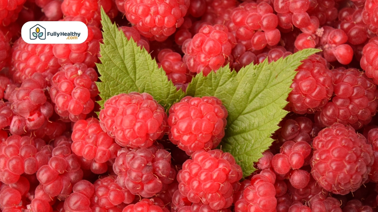 Fresh raspberries with green leaves arranged in a colorful close-up view