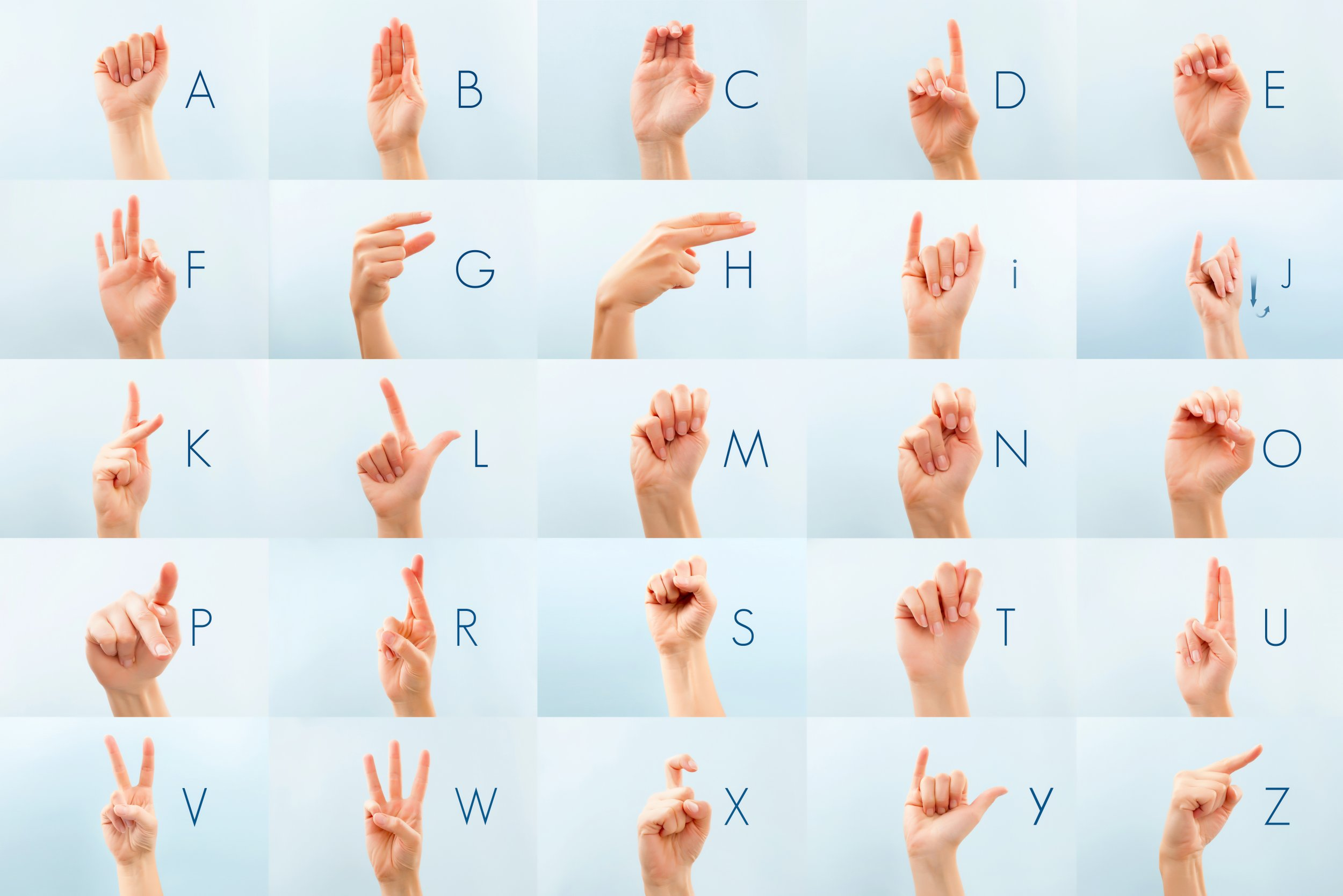 most commonly used sign language in the world