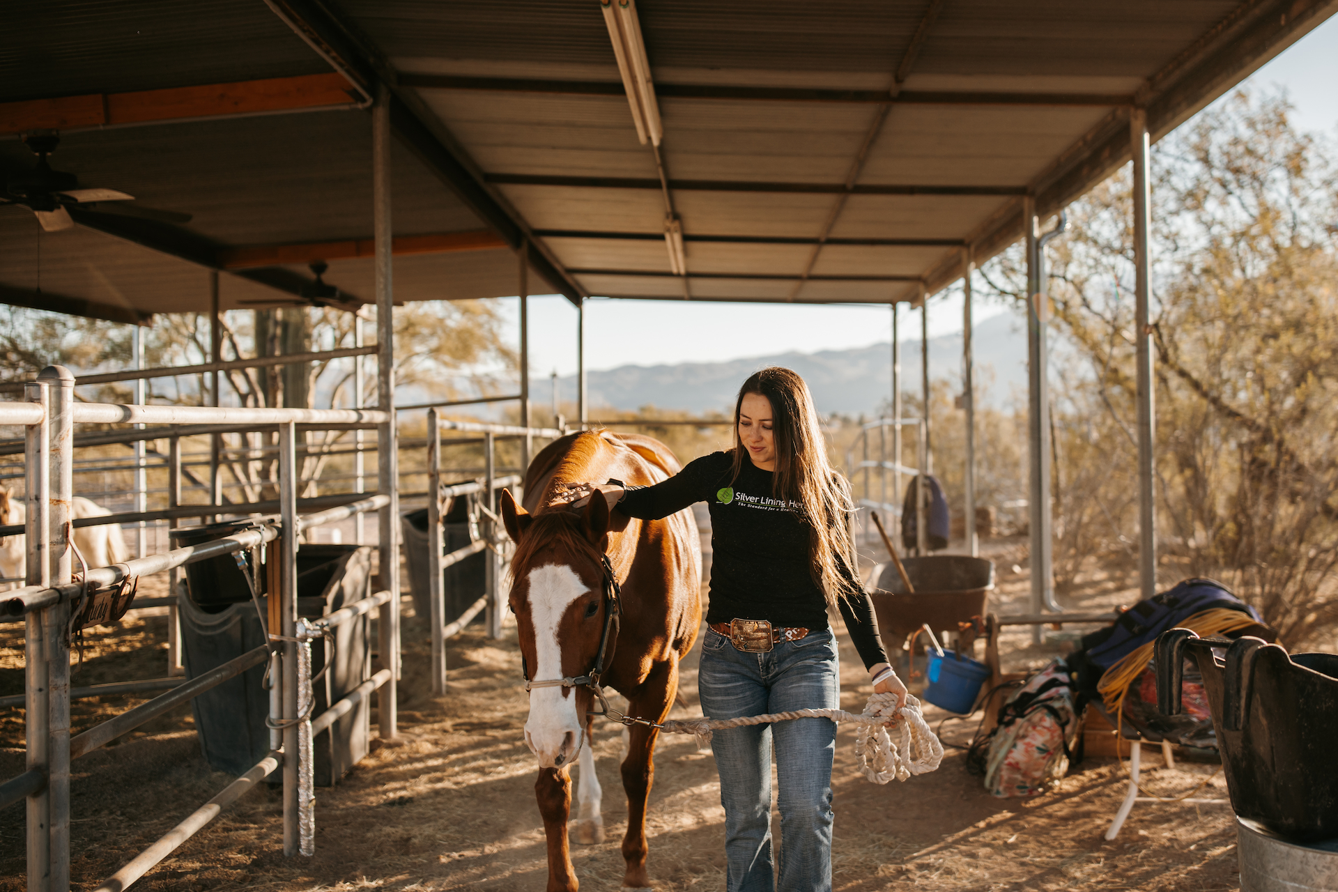 Happy horse being led and fed by a Silver Lining Herbs employee