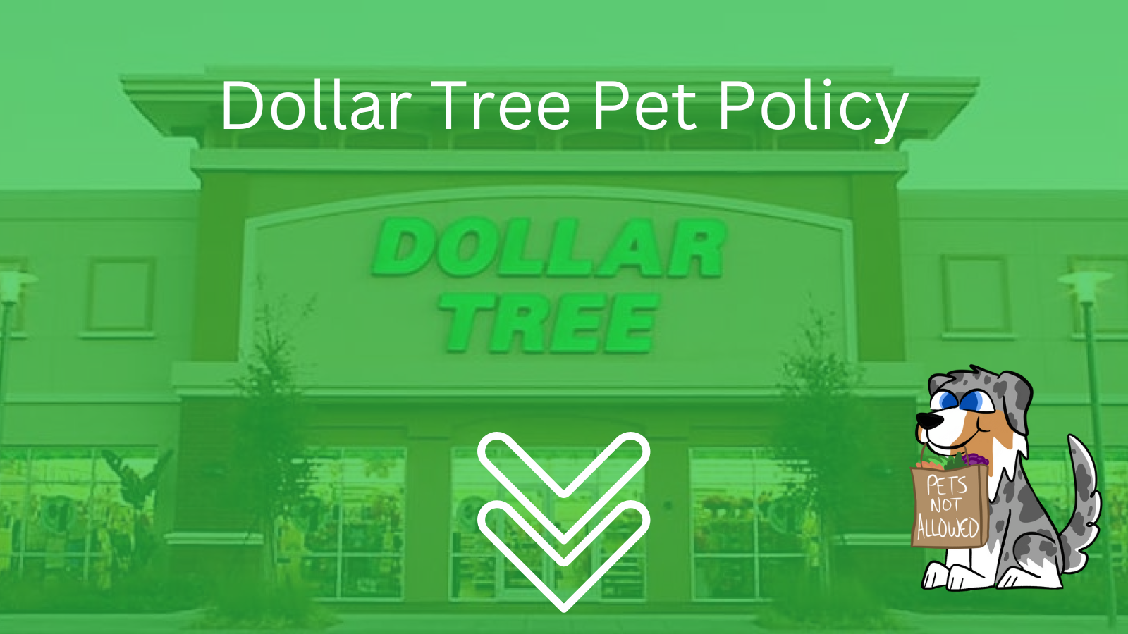 Image Text: "Dollar Tree Pet Policy"