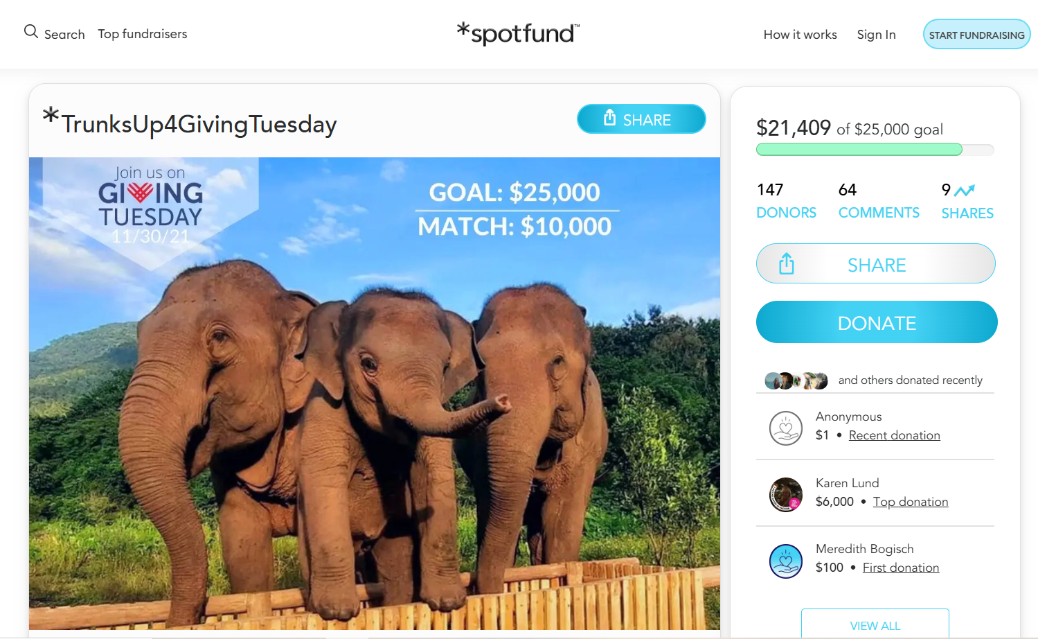 best animal charity to donate to