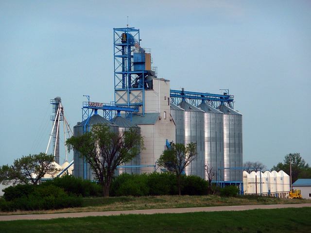 Grain silo and storage in bulk totes