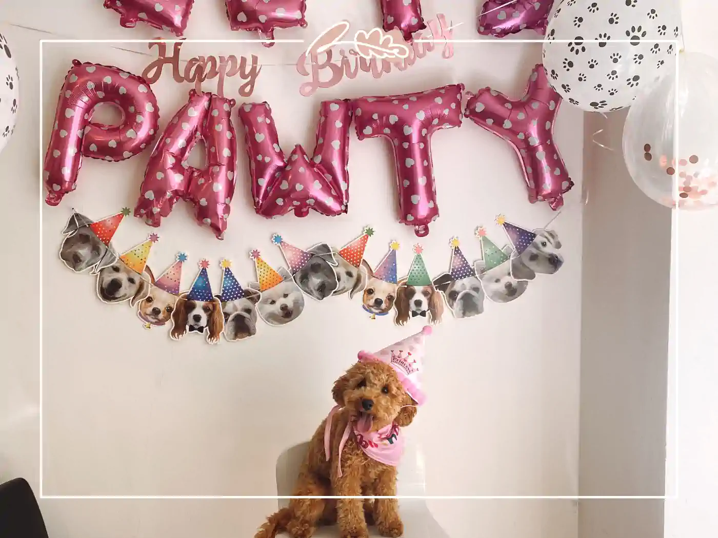 A small dog wearing a party hat sitting under a "Happy Pawty" banner with balloons and dog faces. Fabulous Flowers and Gifts - Birthday Collection.