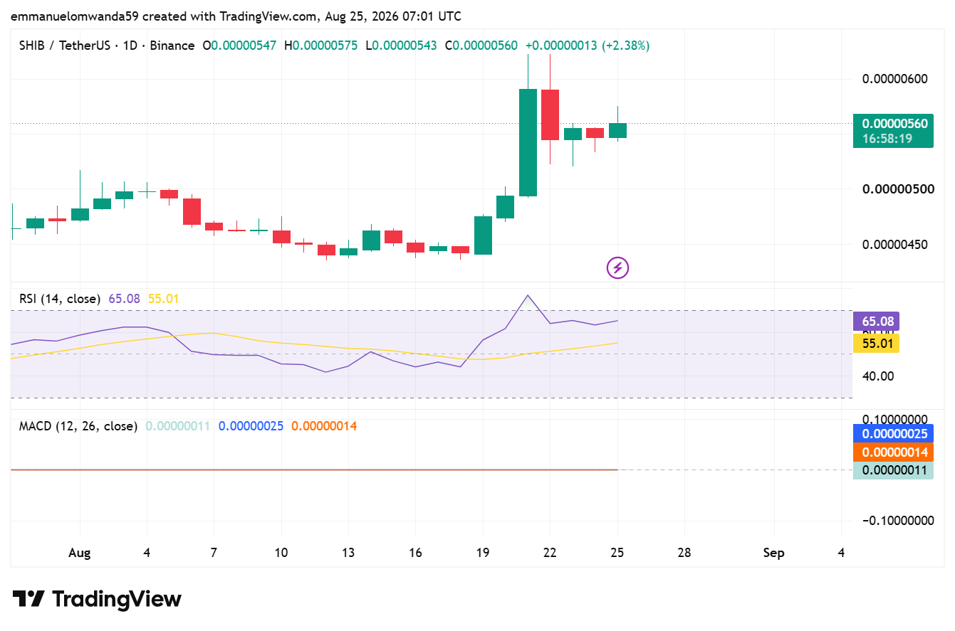 Graphique SHIB/USDT : TradingView