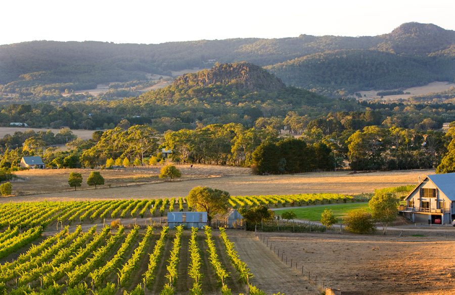 wineries port phillip