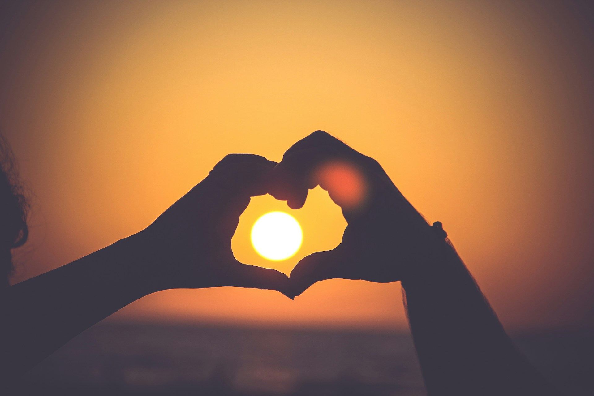 silhouette of hands forming hearts