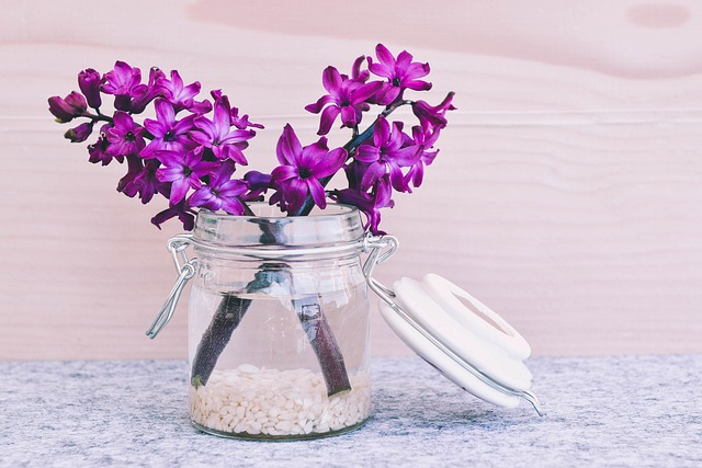 hyacinth, flower, blossom