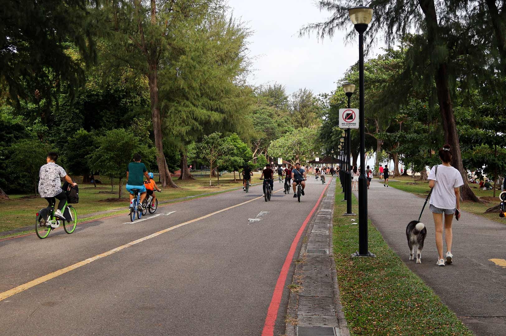 Pathway at East Coast Park in Marine Parade with people cycling, walking, and jogging under tall trees. A woman walks a dog on the footpath, while cyclists ride along the adjacent bike lane on a sunny day.