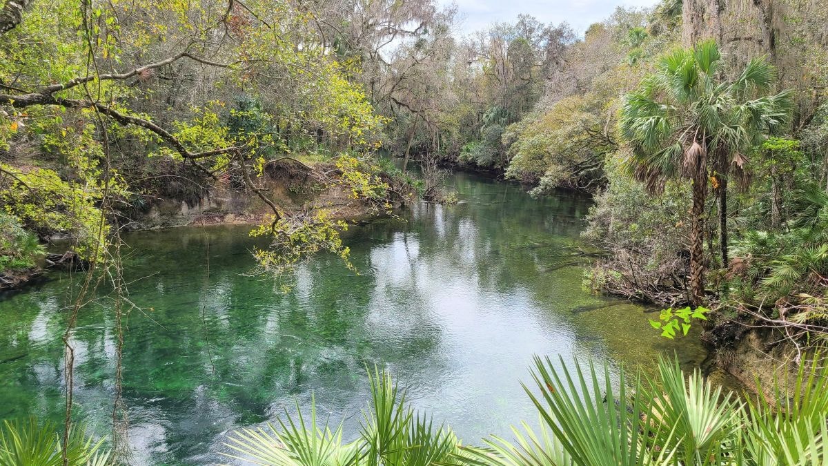 Kayaking St. Johns River