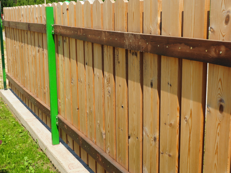 An image showing pressure-treated pine fencing.