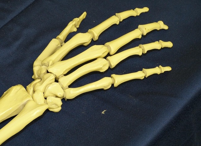 Healthy bones give a helping hand