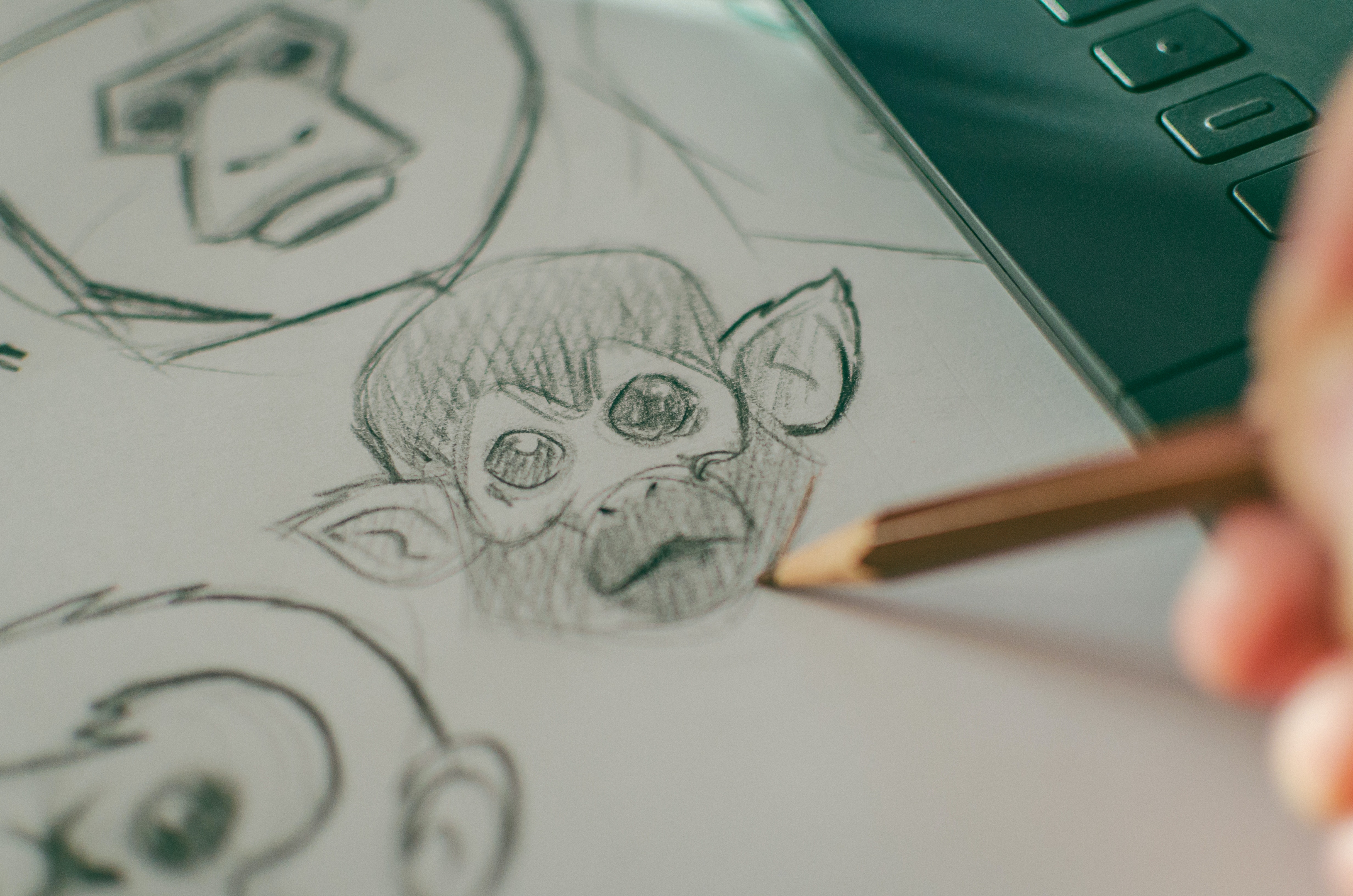 A person hand drawing a monkey