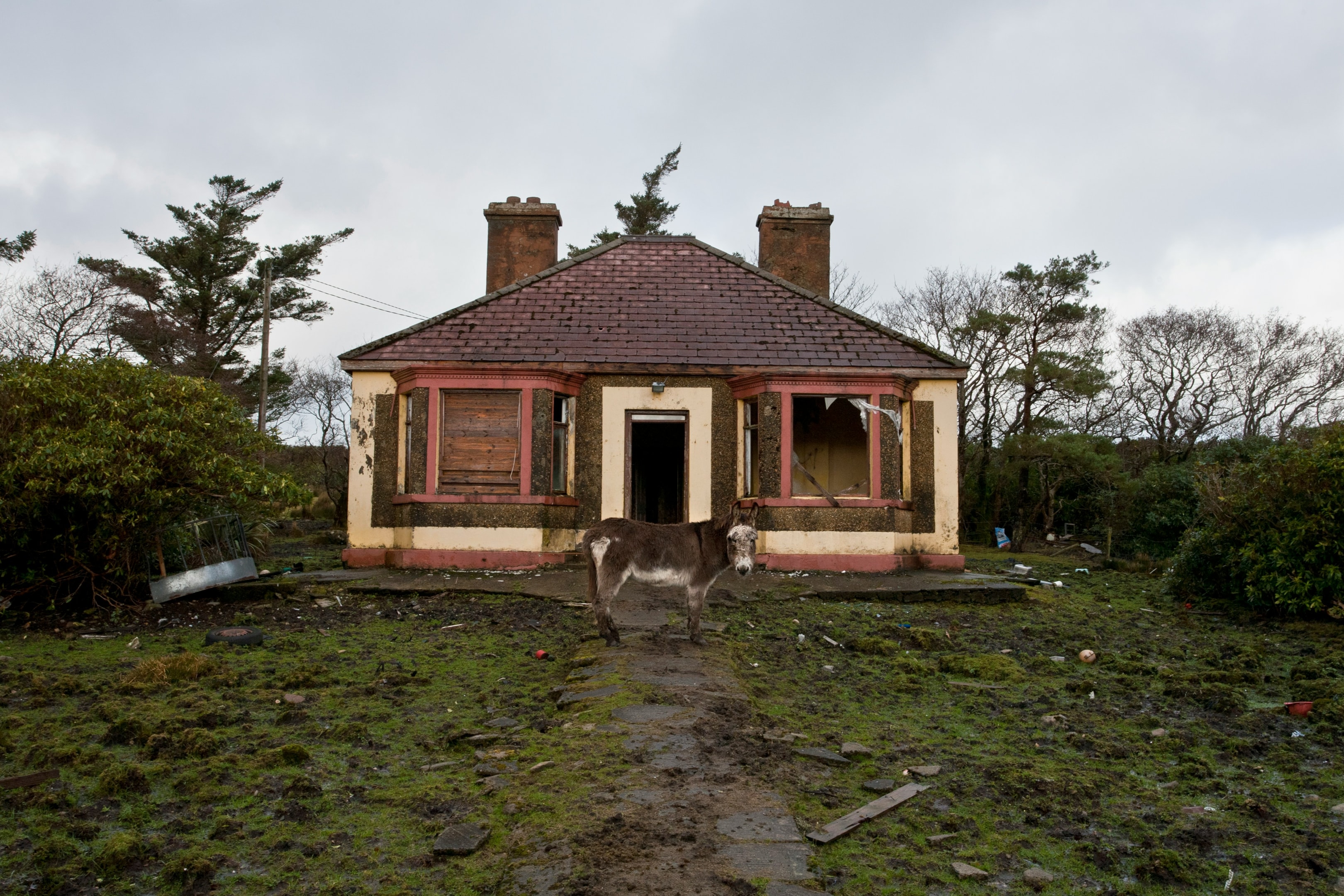 Abandoned house in rural area, purchased by real estate investor.