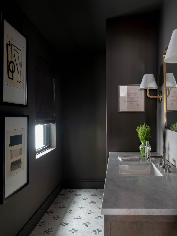 the powder bath with gray paint that actually looks like brown paint in MLSH