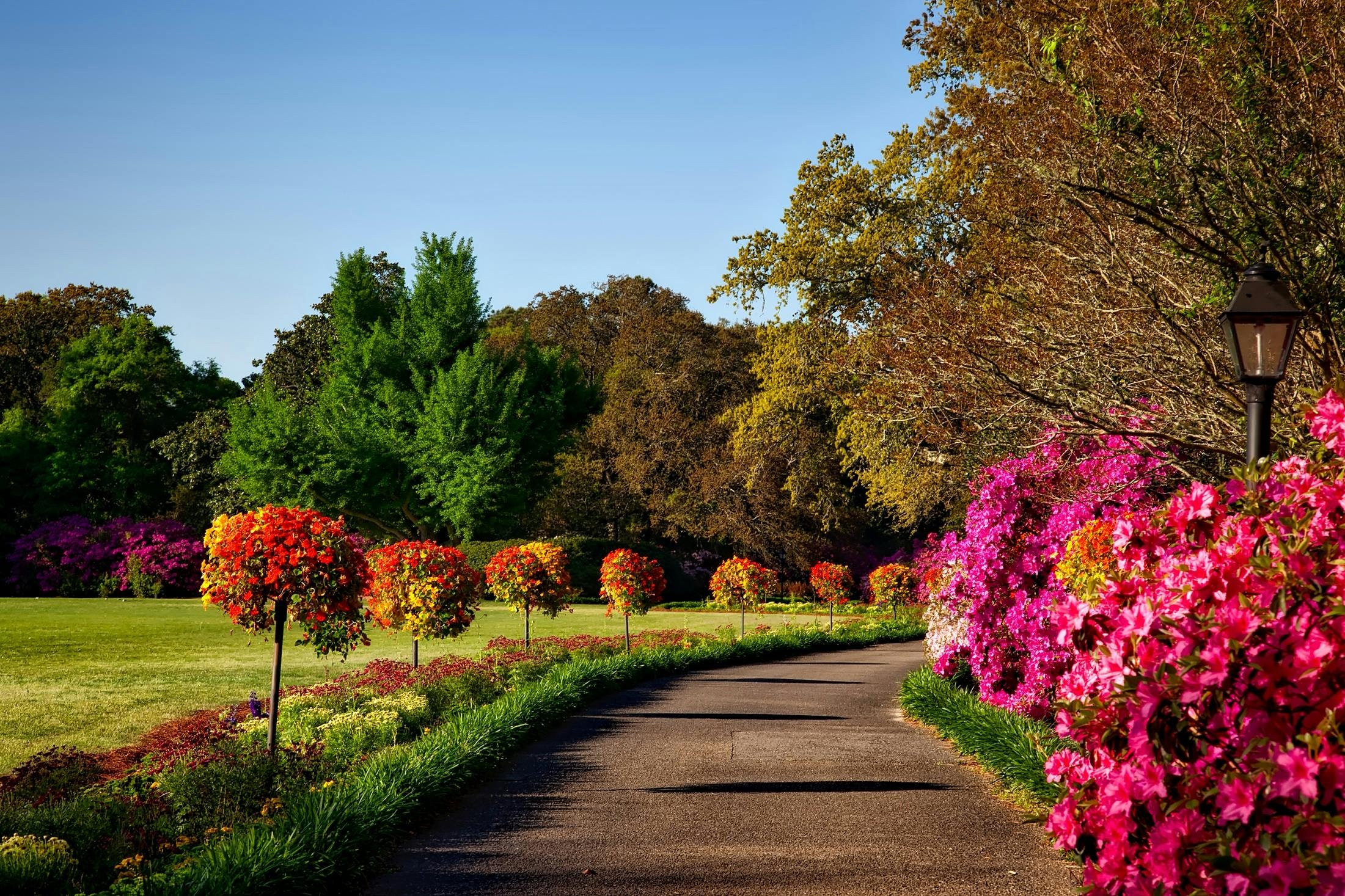 landscape designs