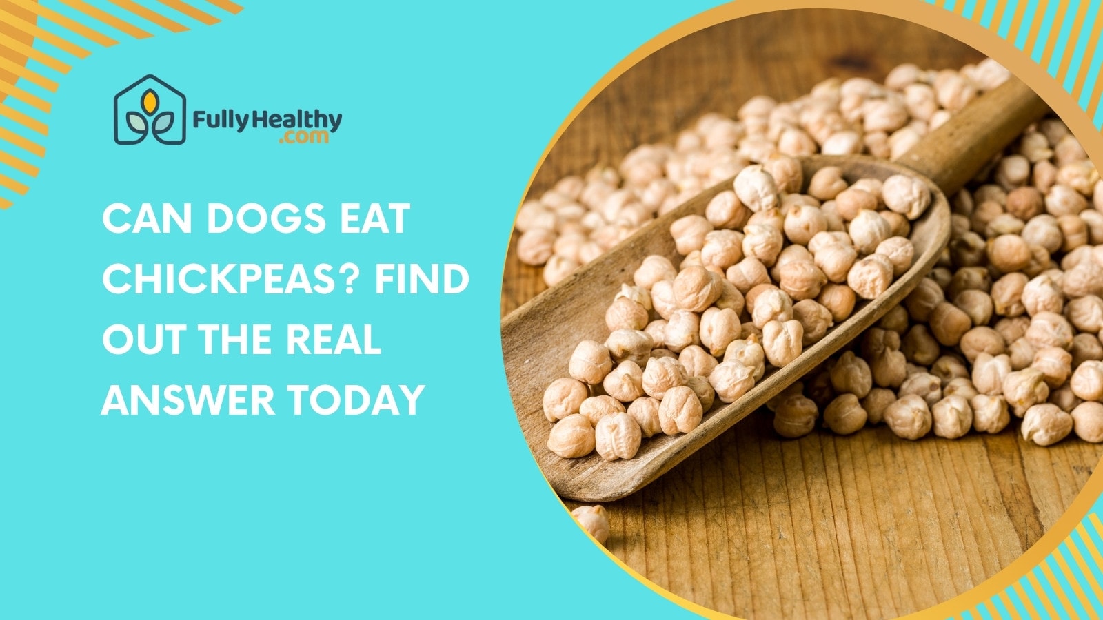Can Dogs Eat Chickpeas? Find Out the Real Answer Today
