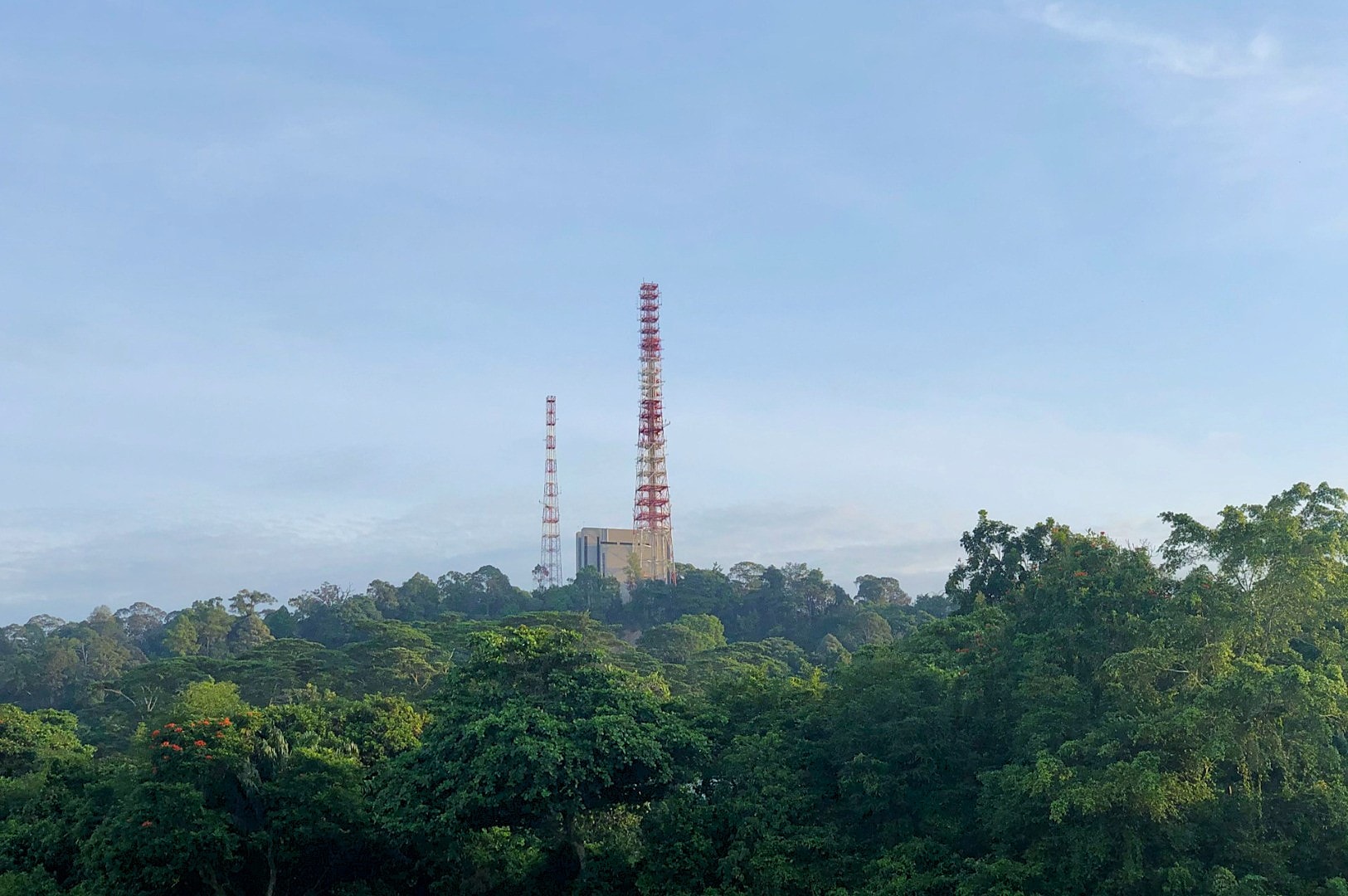 Two tall red and white radio towers rise above lush green trees under a clear blue sky. The scene feels tranquil and expansive, blending technology with nature.