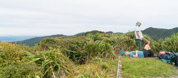 south islands