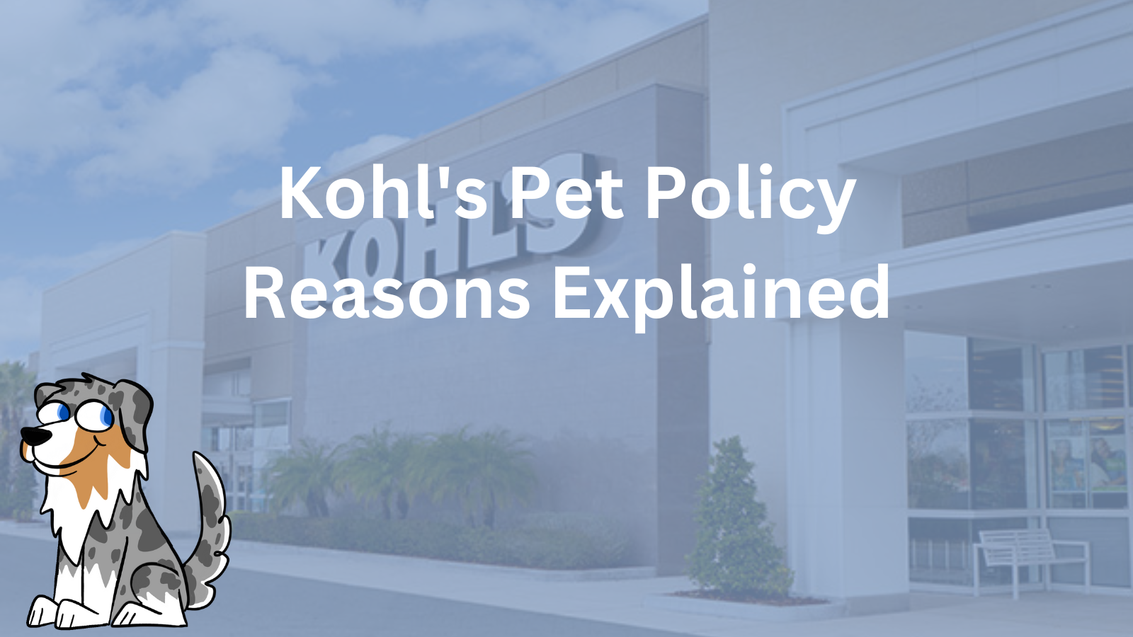 Image Text: "Kohl's Pet Policy Reasons Explained"