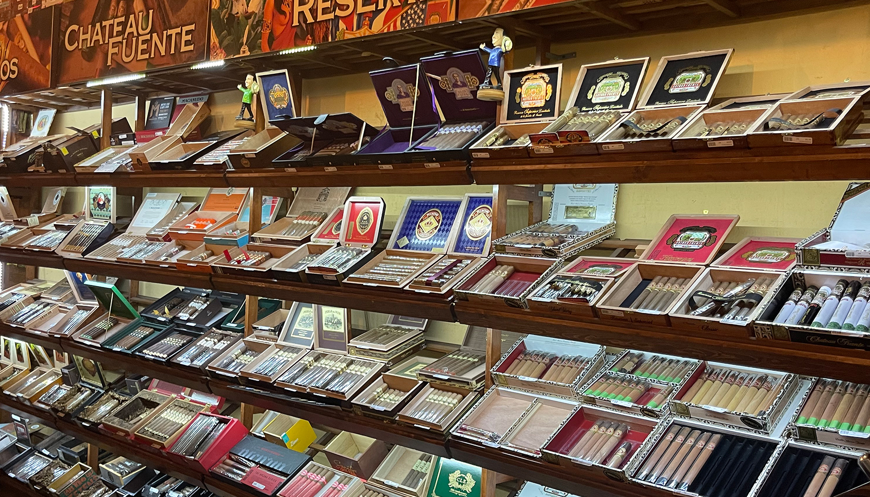 A diverse selection of premium cigars in a well-decorated cigar shop