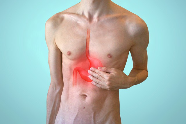 An image of a male torsoe with reddened stomach and esophagus symbolizing acid reflux.