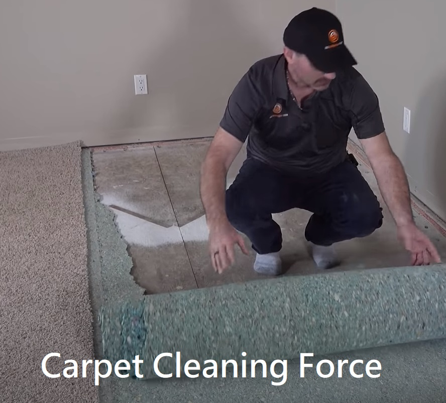 How to Install Carpet