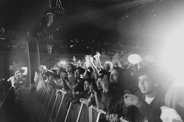 audience, barnett, concert