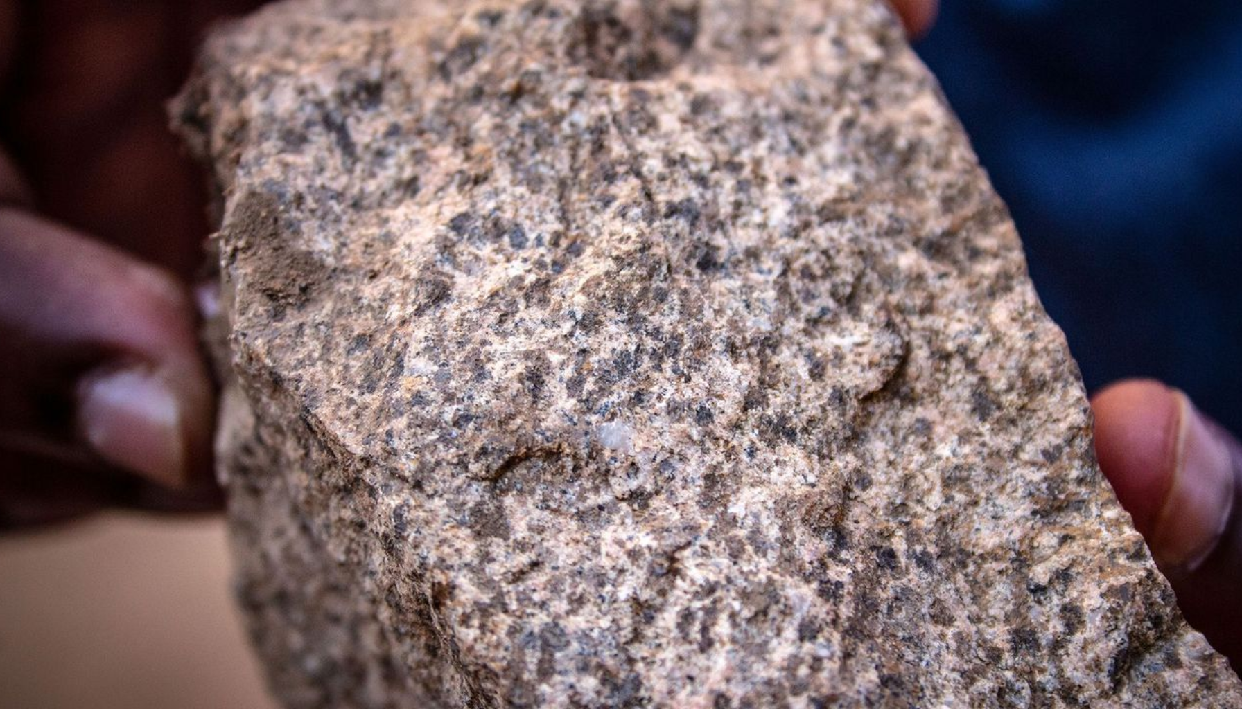 Fosfor – Derfor er dette mineralet viktigere enn du tror 16 Person holder en grovkornet stein med ujevn overflate og tydelig struktur, nærbilde av bergarten.