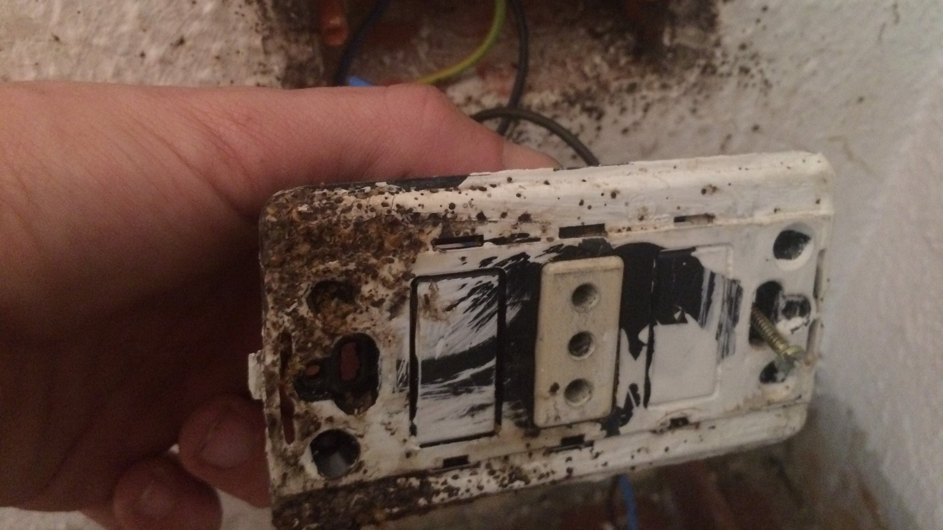 A power outlet that has been infested and stained from bed bugs.