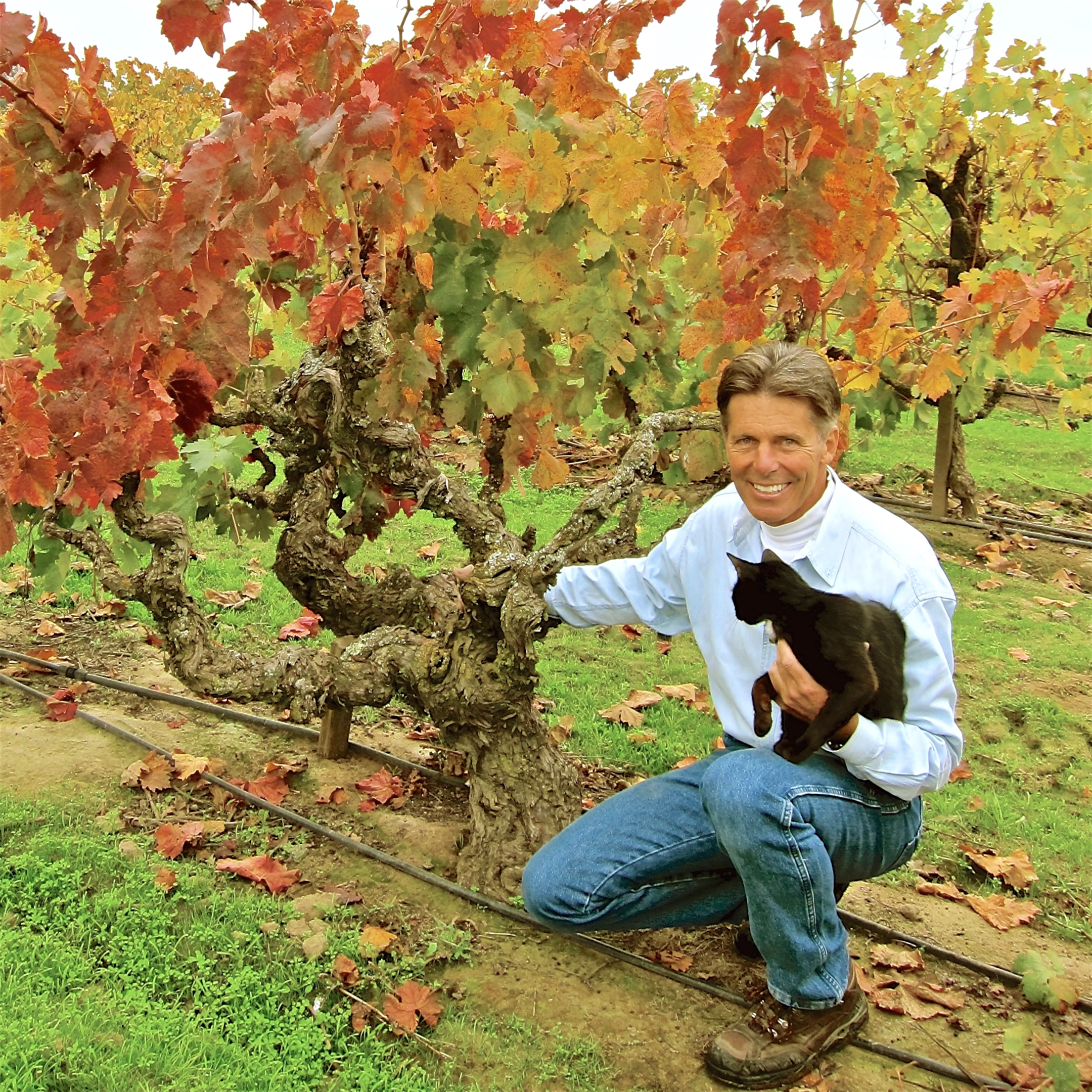 Jessie's Grove - Gregg Burns in the vineyard