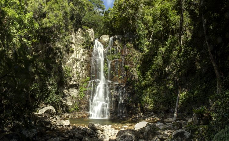 Minnamurra Rainforest on the new south wales south coast