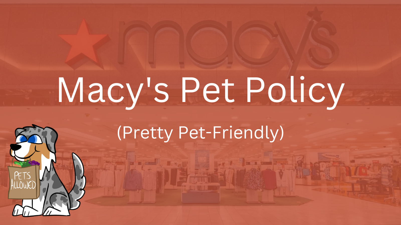 Image Text: "Macy's Pet Policy (Pretty Pet-Friendly)"