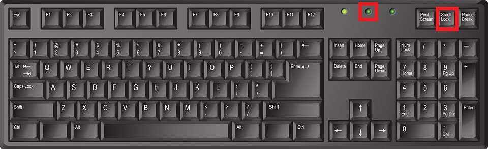 solved-how-to-enable-up-and-down-arrow-keys-in-9to5answer