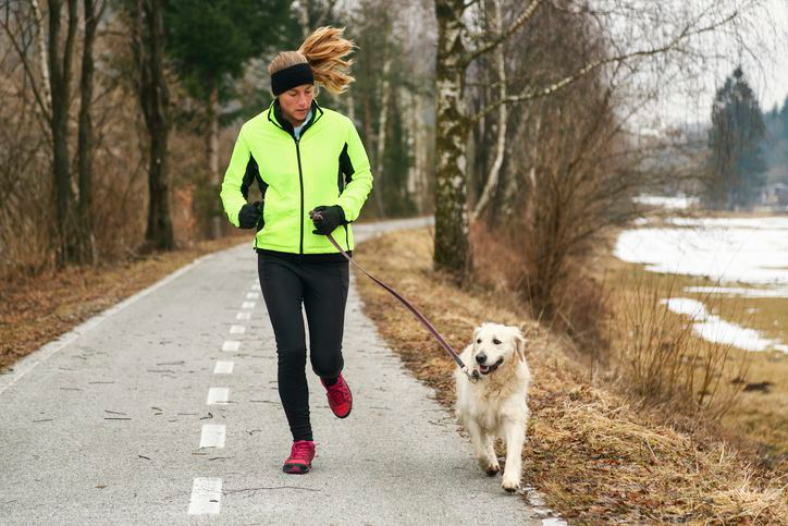 Hidden Dangers of Yellow Poop Dog on City Streets for Athletes and Runners