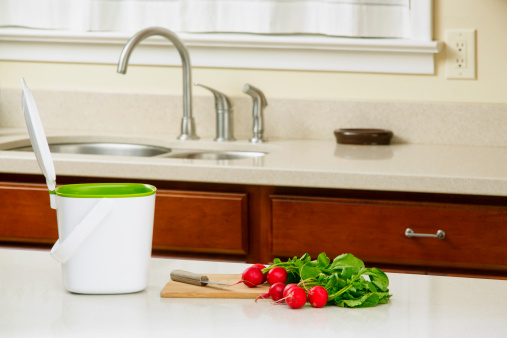 How to reduce food waste with a countertop compost bin