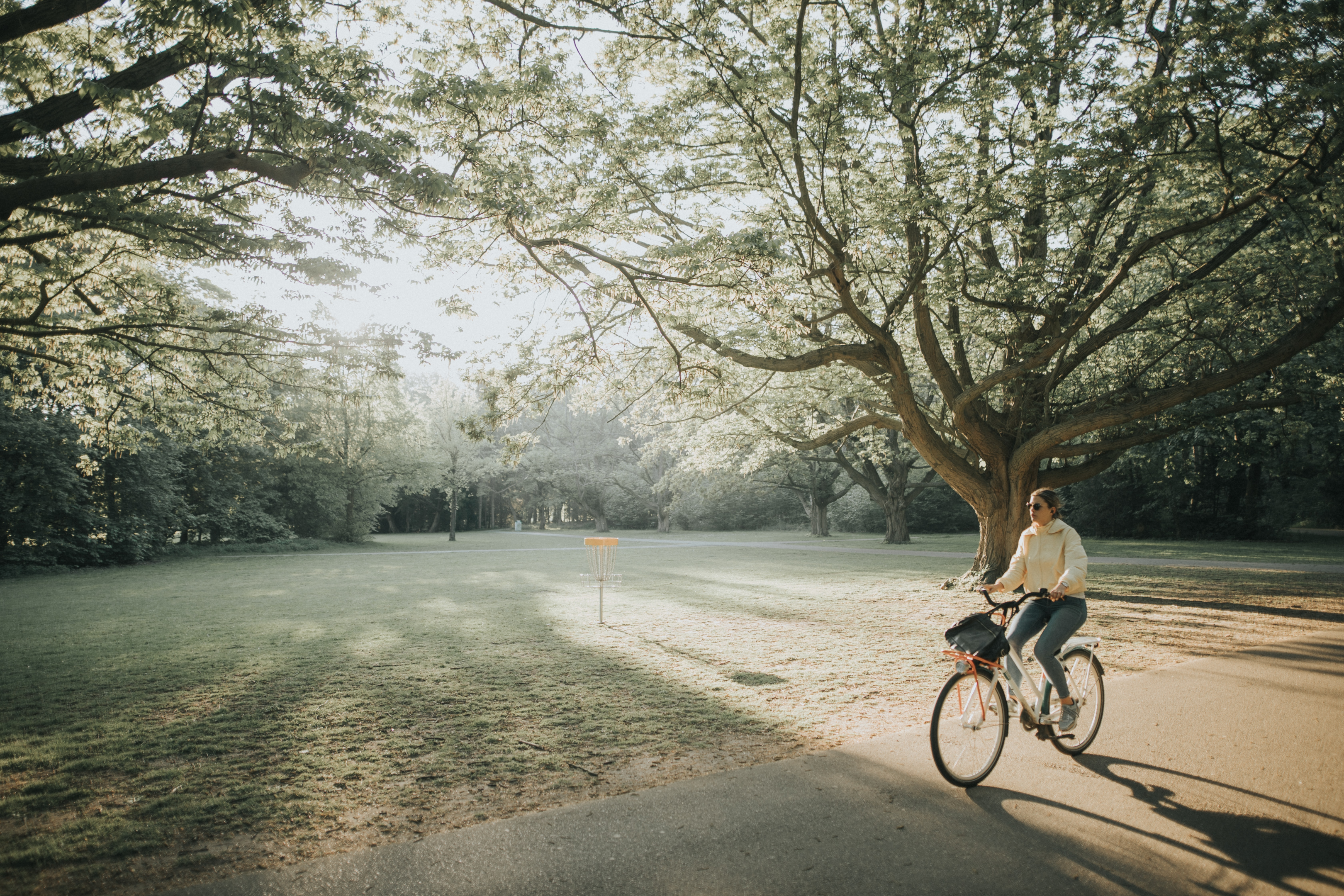 Pessoa pedalando em parque com árvores