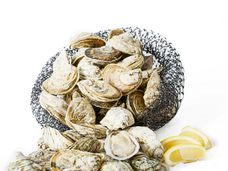 Image of White Stone oysters with lemon juice on the side, a year-round cooked or raw seafood delight.
