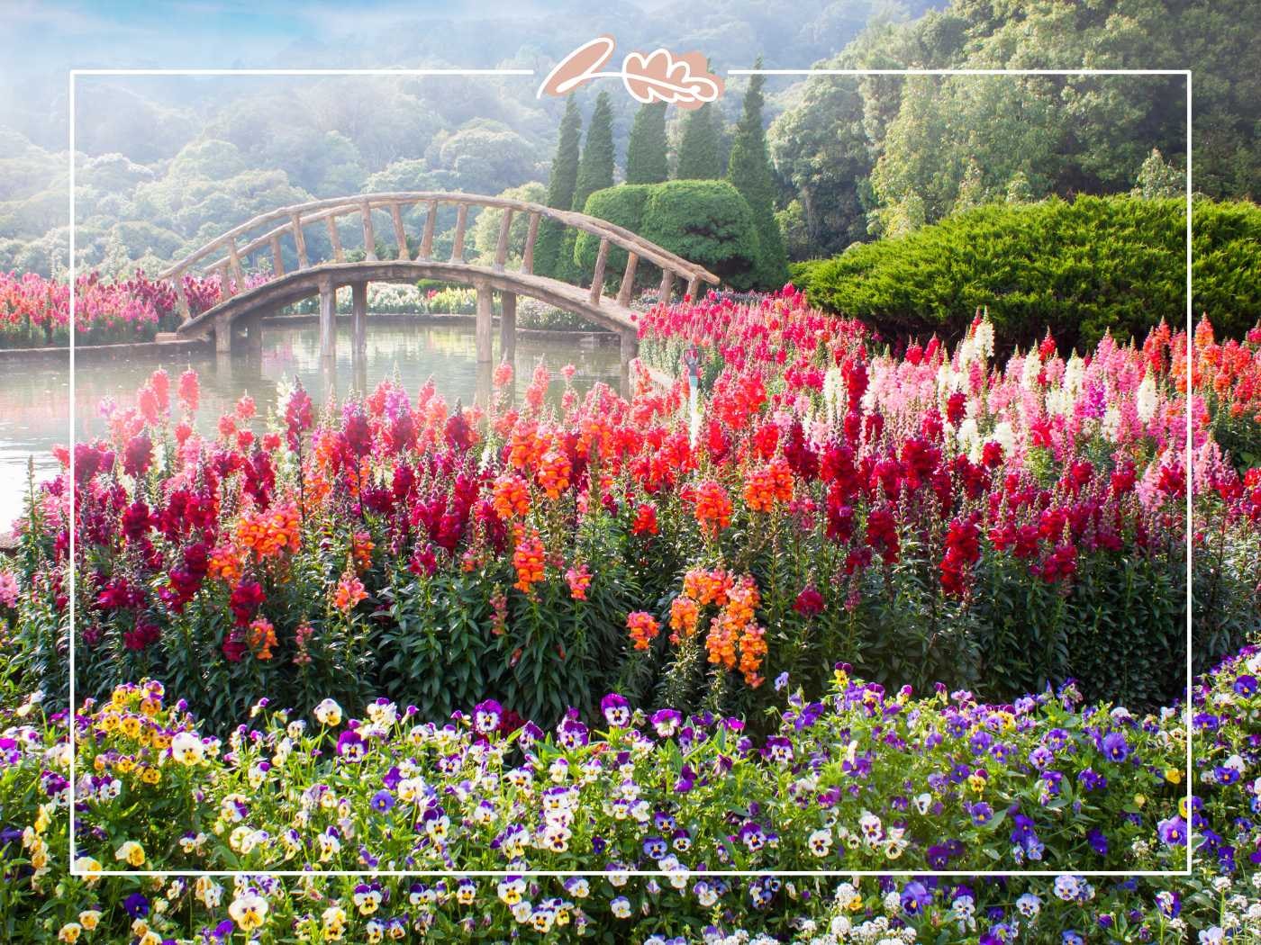 A picturesque garden scene with a wooden bridge over a pond, surrounded by vibrant flower beds. Fabulous Flowers and Gifts.