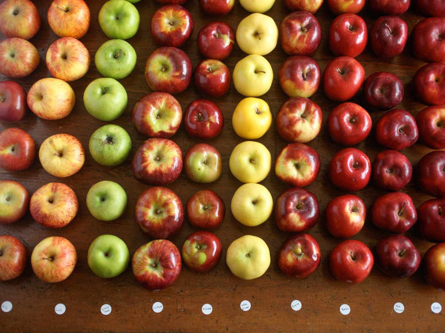 Types of Apples for Cooking and Baking