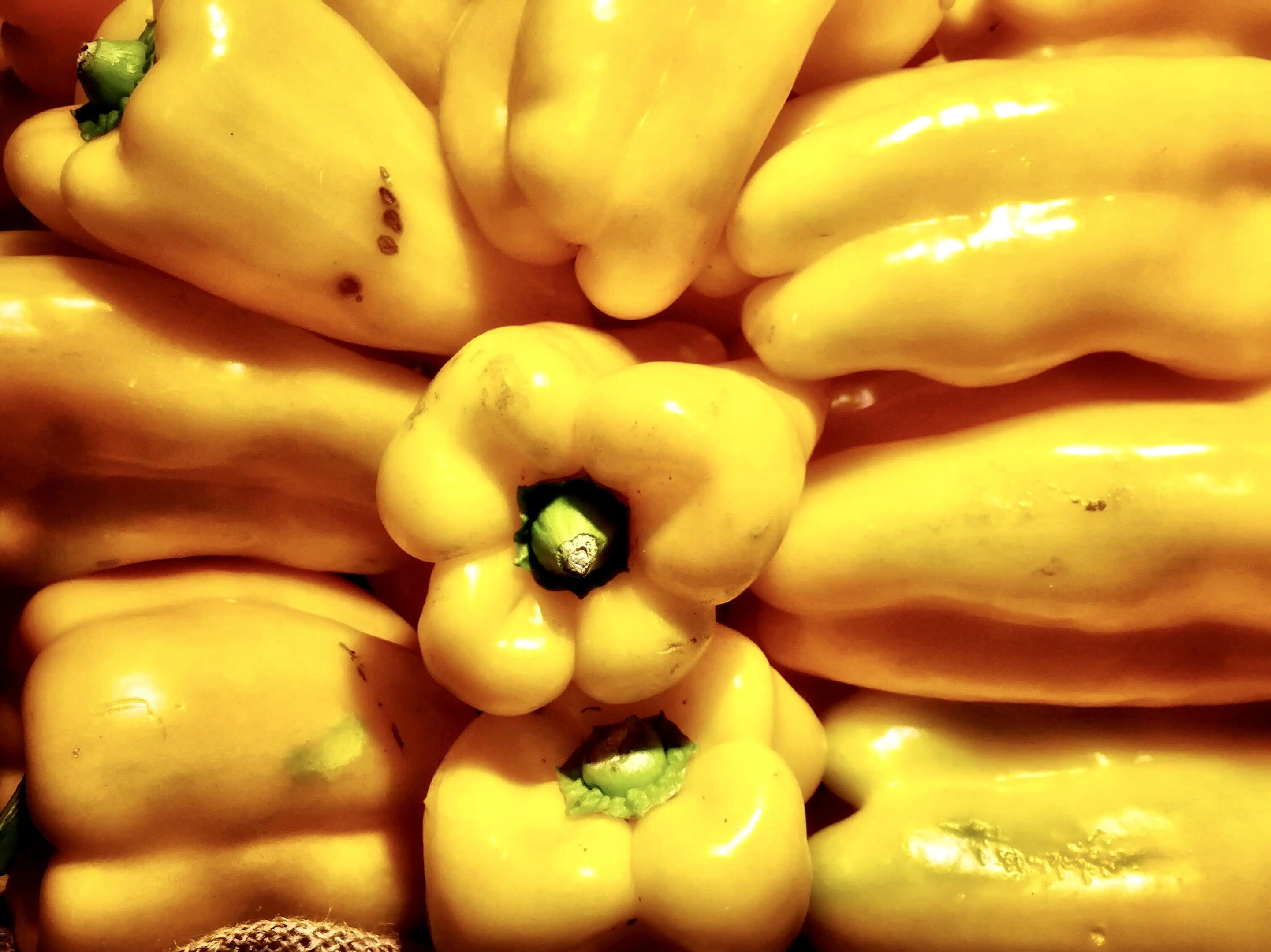 Yellow bell peppers