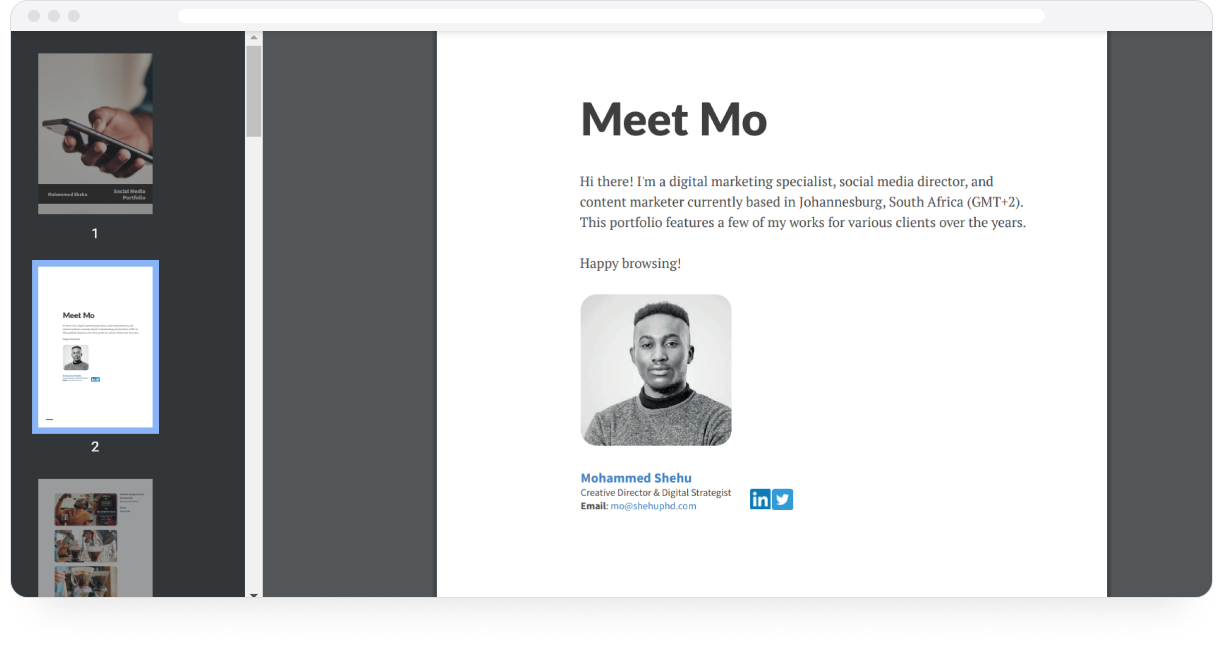 Social Media Portfolio Examples PDF To Inspire You