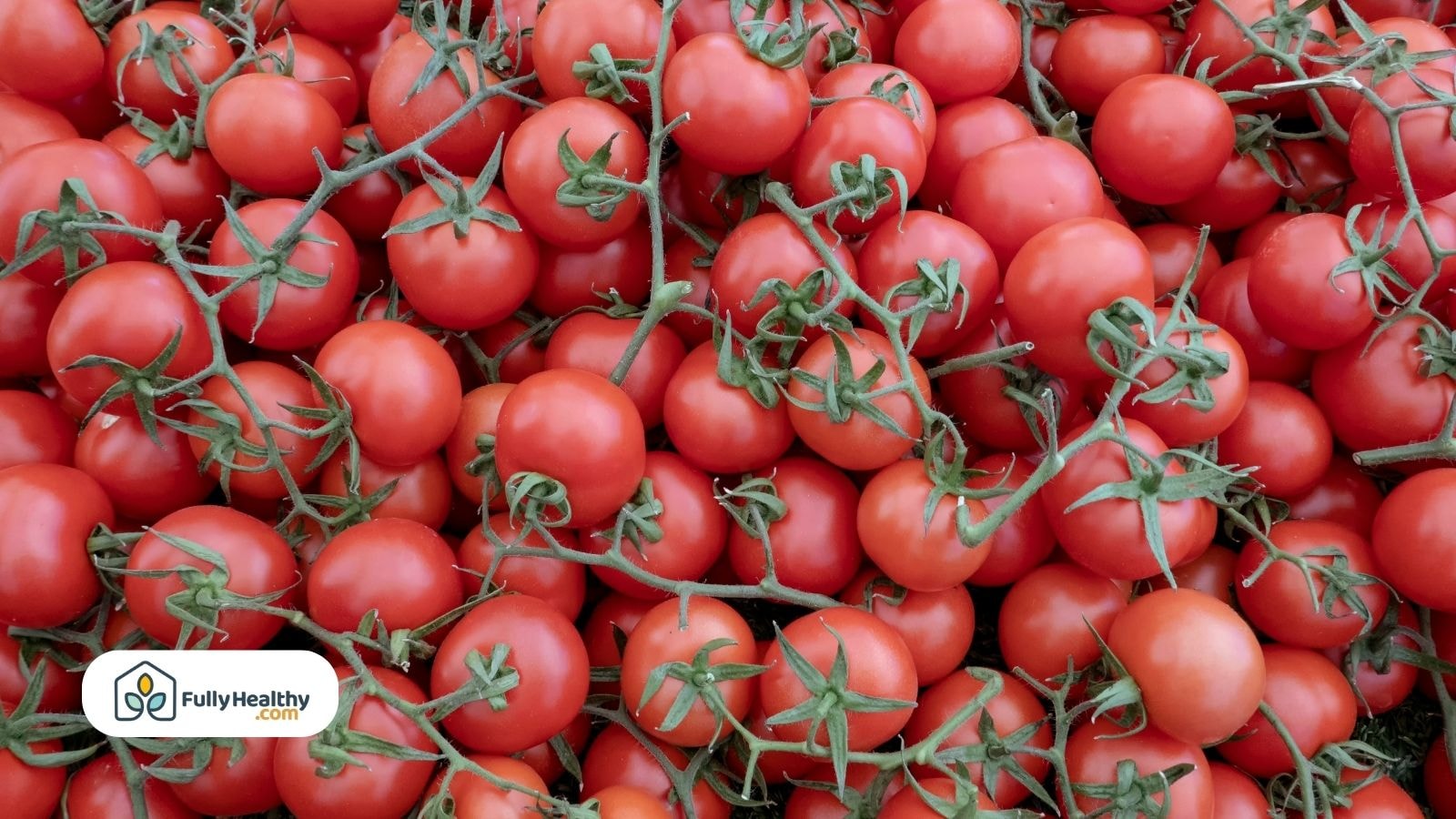 Fresh cherry tomatoes on the vine in a large vibrant pile
