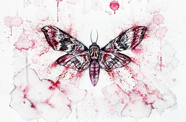 insect, moth, watercolor