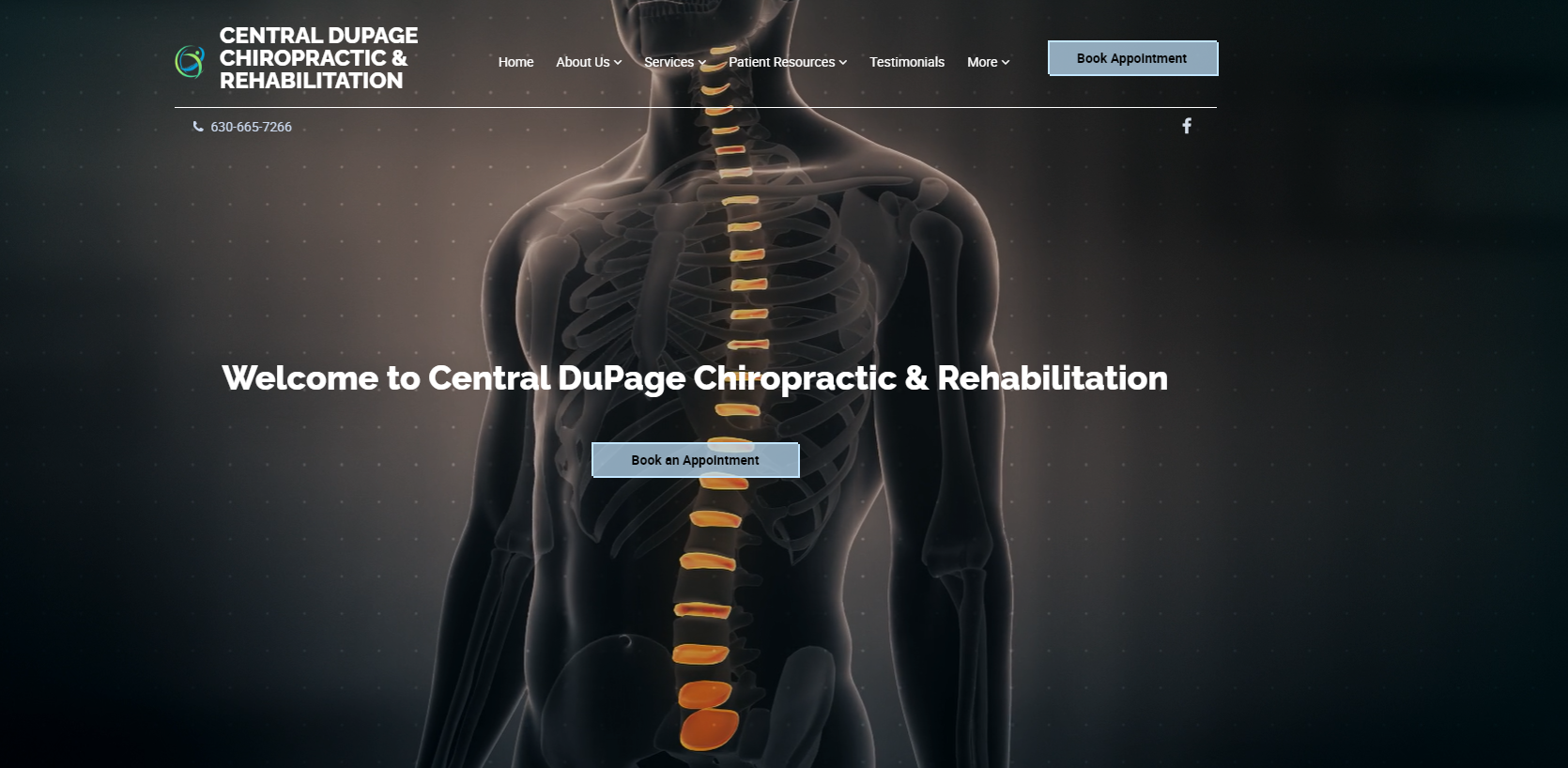 Central DuPage Chiropractic & Rehabilitation homepage featuring an animated spine simulator as the background with a call to action to book an appointment.