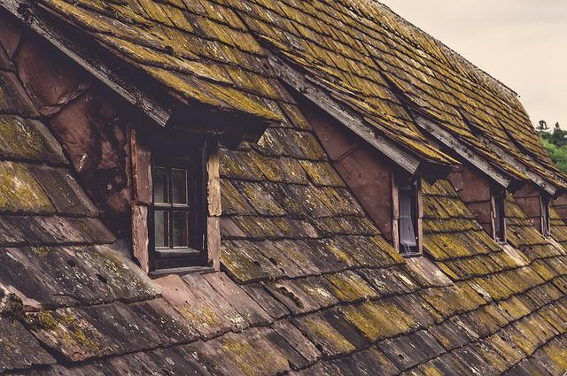 roof cleaning in Long Island