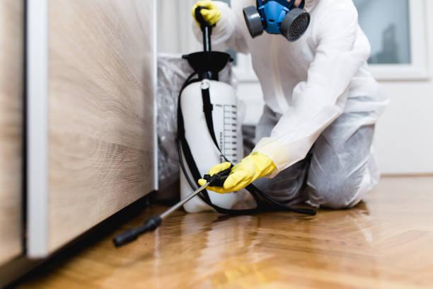 Insect control services by Top Choice